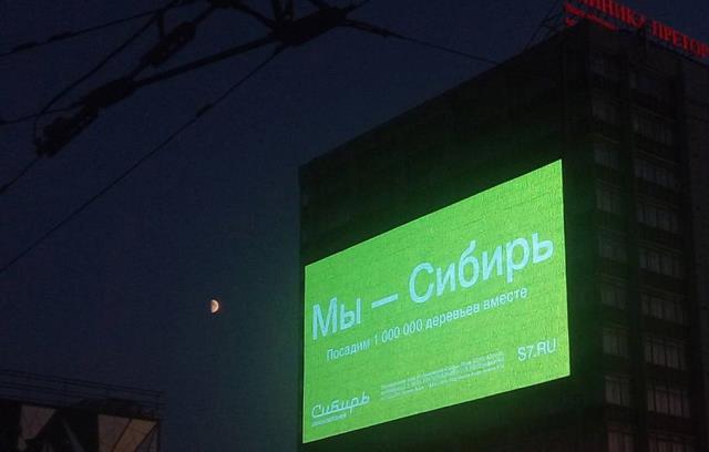Высадка деревьев для восполнения сгоревшего в Сибири леса начнется с Новосибирска