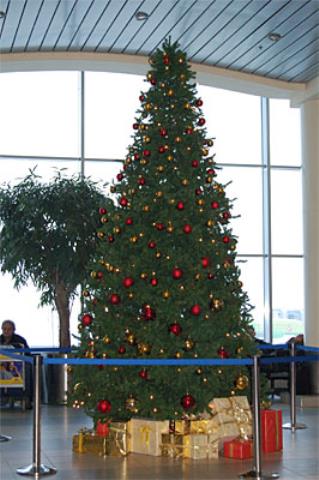 Международный аэропорт Домодедово готовится к Новогодним праздникам