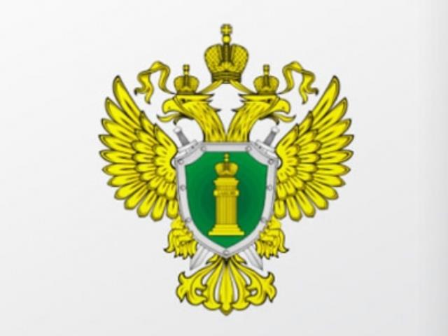 Прокуратура проверяет "Домодедово" и "Шереметьево" в связи с массовыми задержками рейсов