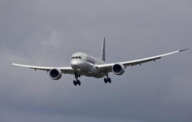 В аэропорту Домодедово экстренно сел рейс Qatar Airways из Дохи в Осло