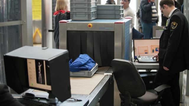 600 куколок тропической бабочки из Кении задержали в аэропорту «Домодедово»