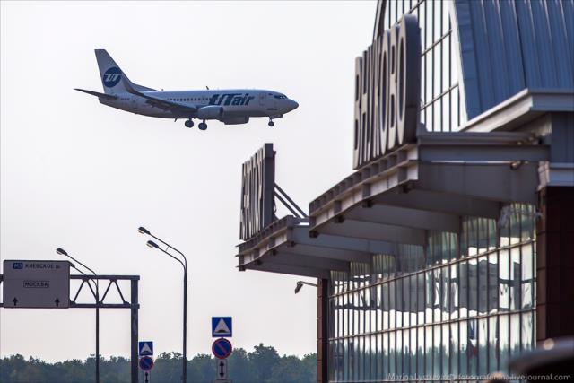 В Utair пообещали разобраться в ситуации с пассажиркой, которая не смогла улететь вместе с котом