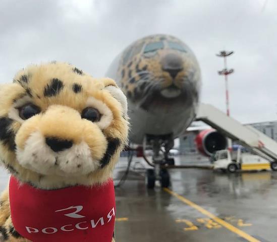 Авиакомпания "Россия" представила воздушное судно Boeing 777 в леопардовой раскраске